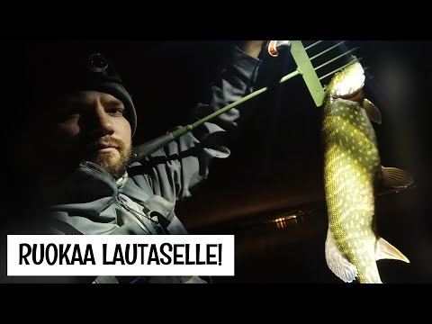 TUULASTUS KAHLAAMALLA - HAUKIPALLEROT PAISTINPANNULLA - KALARUOKA RESEPTI