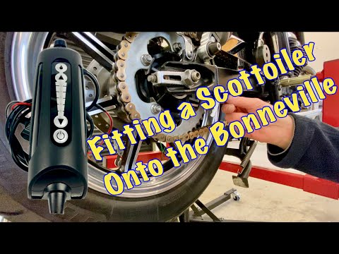 Triumph Bonneville SE 865 - Fitting a Scottoiler X System