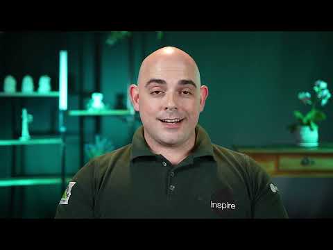 Depoimento sobre evento SIPAT