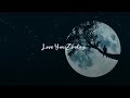 Love You Zindagi Whatsapp Status Full Screen Lyrics