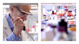 Profiles in Innovation: Robert Langer