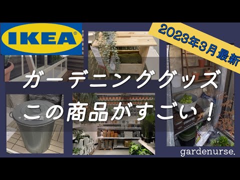 庭やバルコニーに最適な最も美しいつる植物トップ12  庭園