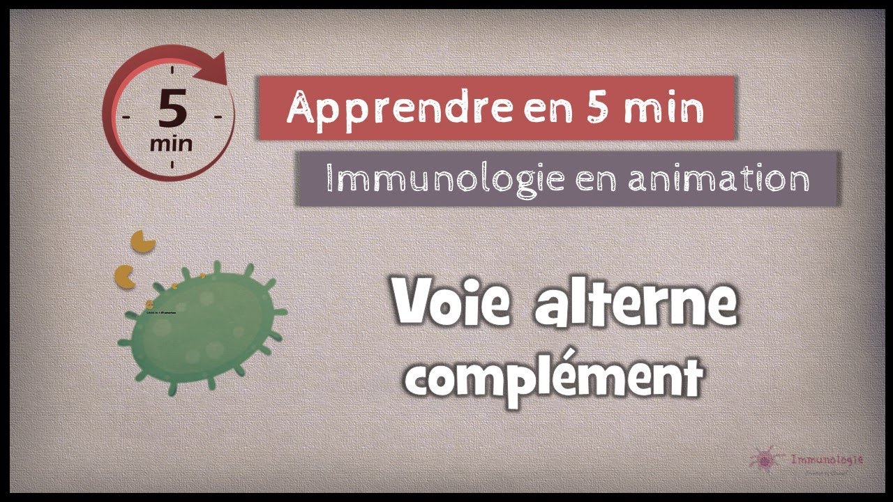 the alternative pathway