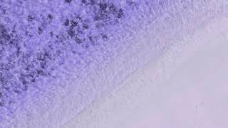 joe weller ft. loula ~ dark paradise (slowed + reverb)