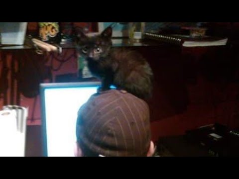 Nokia G22: the repairable smartphone