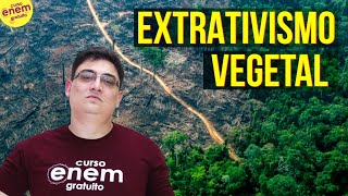 EXTRATIVISMO VEGETAL NO BRASIL | Resumo de Geografia para o Enem