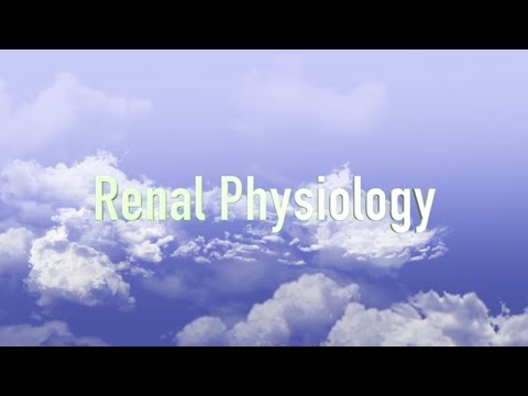 Renal Physiology (VETERINARY TECHNICIAN EDUCATION)