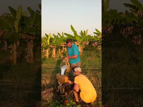 agricultura la ceiba Trujillo