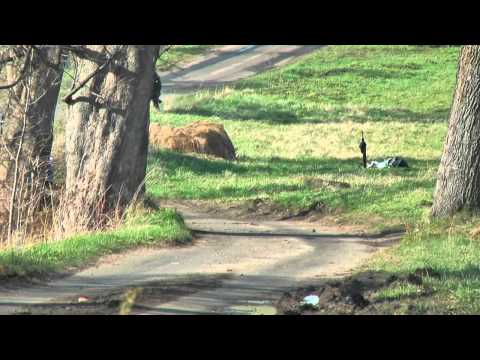 40 Rajd Świdnicki KRAUSE 2012 | Habaj / Woś | Mitsubishi Lancer Evo IX [MotoRecords.pl]