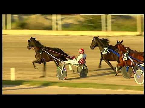 Napoli Trotto 01/10/2022 - 7ª corsa