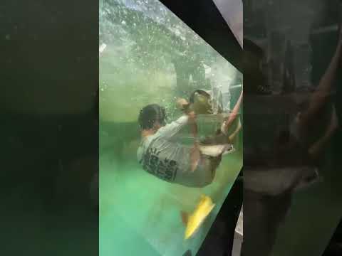 深海少女