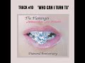 TERRY ISAIAH JOHNSON & THE FLAMINGOS - Who Can I Turn To