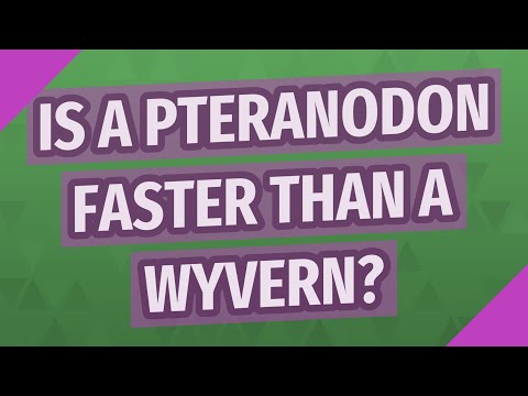 Is a Pteranodon faster than a Wyvern?