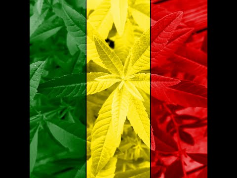 Dub Size aka Sid3 Fx Mix for Culture Dub