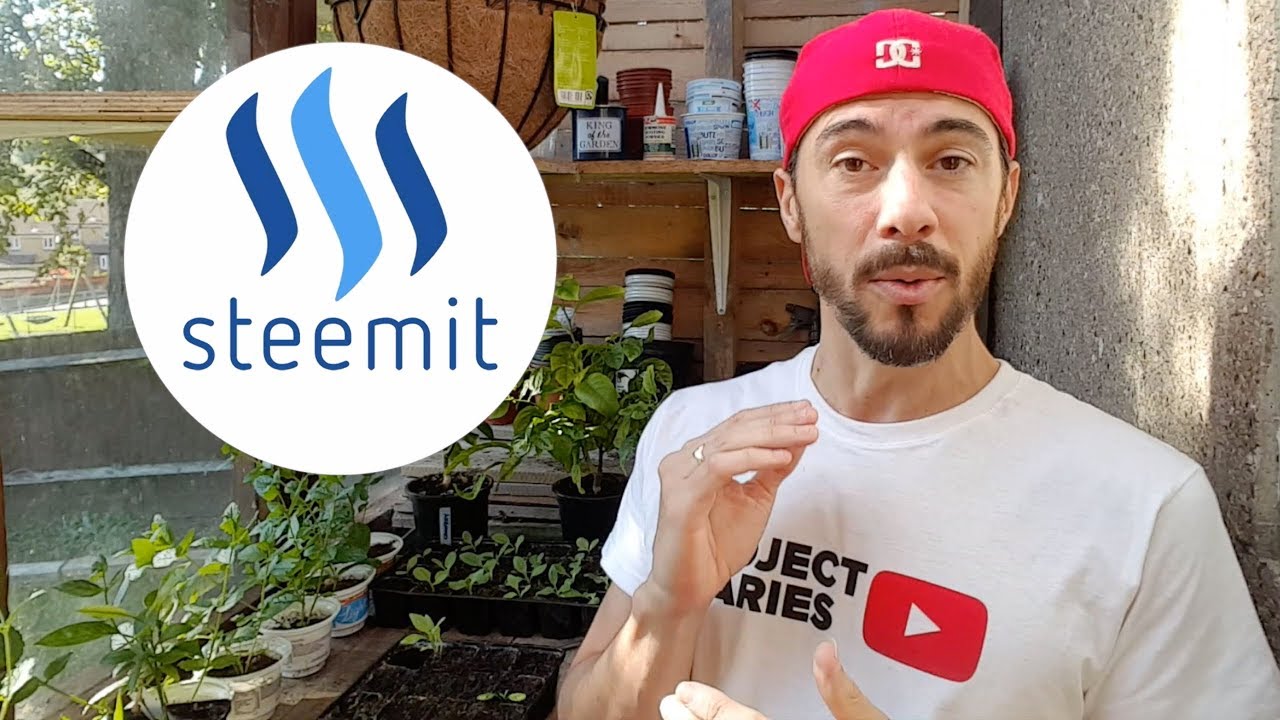 ★ How to: Make Money Blogging (The Ultimate Guide to Steemit)