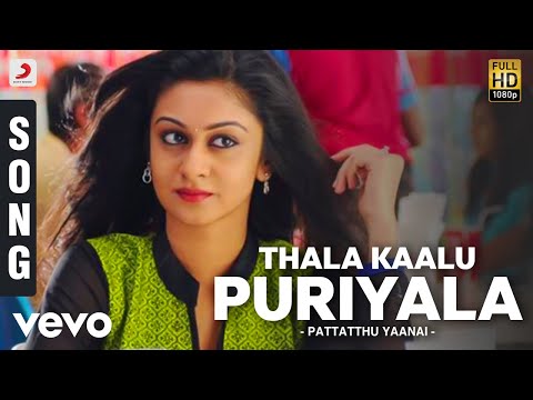 Pattatthu Yaanai - Thala Kaalu Puriyala Song | SS Thaman