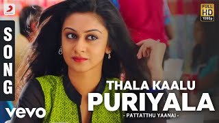 Pattatthu Yaanai - Thala Kaalu Puriyala Song  SS T