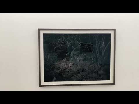 Uillinn Leaving Cert Tour with Artist Tommy Weir