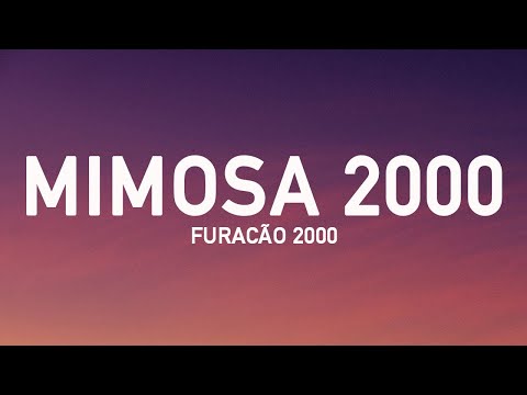 Furacão 2000 - Mimosa 2000 (Letra/Lyrics)