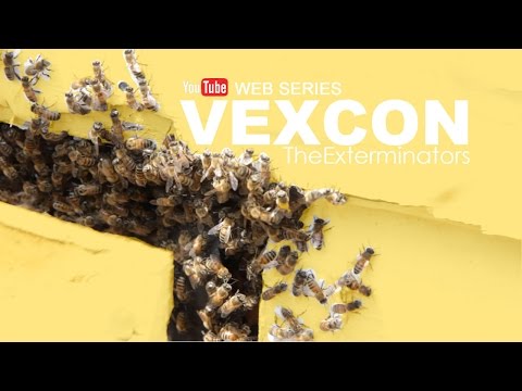 Vexcon The Exterminators - Web Series (Episode 7: Bees Attack)