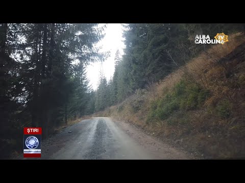 Drum forestier trecut la primăria Șugag