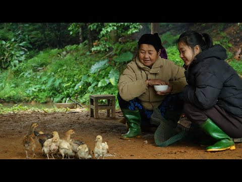 Despite the incessant rain, May has gathered enough bamboo to build kitchen walls
