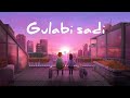 GULABI SADI Slowed Reverb Instagram Trending Song