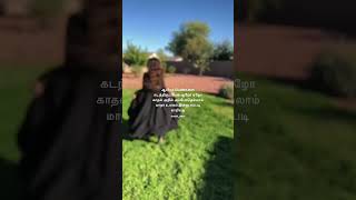 Download lagu Muttalai Muttalai song💫WhatsApp status😇@shafi_vibes07♥️ mp3
