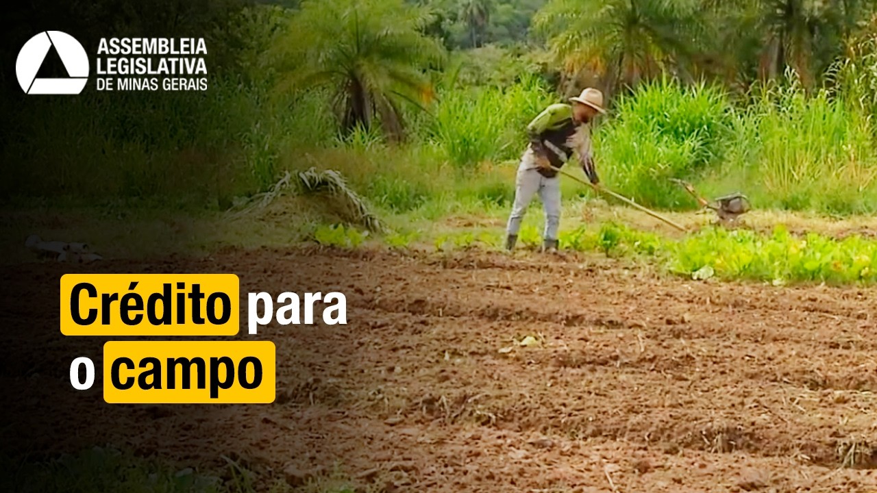 Plano Safra 2024 2025 é lançado em Minas Gerais