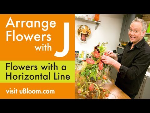 download lagu mp3 mp4 Flower Arrangement Proportions, download lagu Flower Arrangement Proportions gratis, unduh video klip Flower Arrangement Proportions