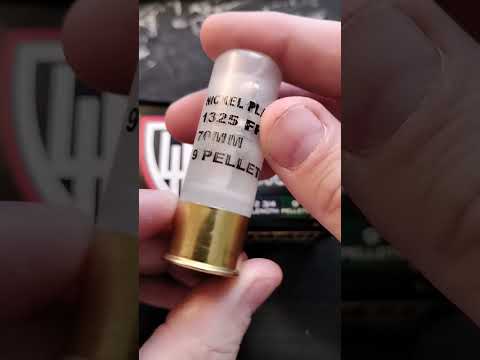 Fiocchi Ammunition | Ray Brown Shooting Instruction