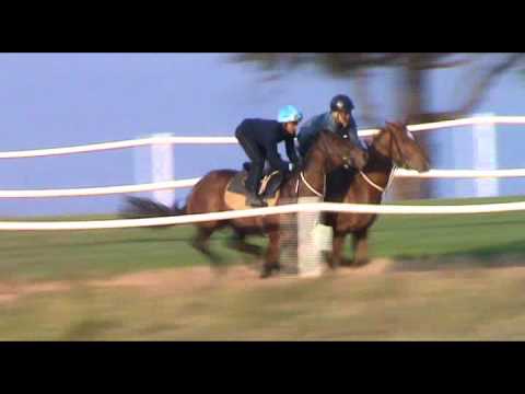 2012-08-04 Maria's Boy trackwork