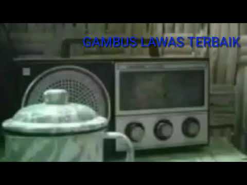 GAMBUS LAWAS TERBAIK DAN TERPOPULER