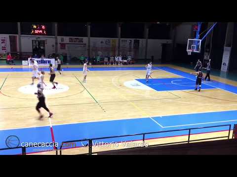 Bellini Virtus Gorle - New Basket Prevalle