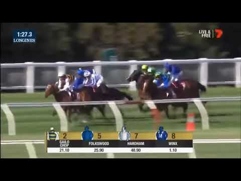 Winx 2017 Cox plate