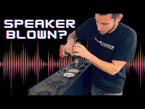 Troubleshooting Blown Speaker in Large Multi-Driver Speaker, Paradigm CC-390