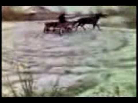 un nebun de la diosti