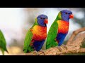 Best Urdu Hamd 2M Views