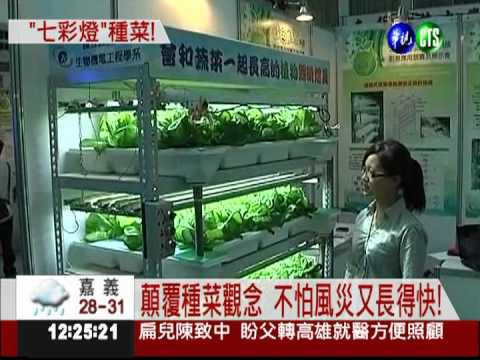 "在夜店種菜" 大學生勇奪創意獎