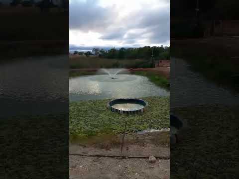 Pesqueiro próximo a Guaraciama MG