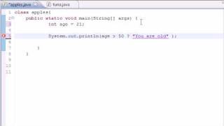 Java Programming Tutorial - 20 - Conditional Operators