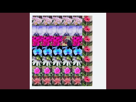 80844264@81 (Love Song)