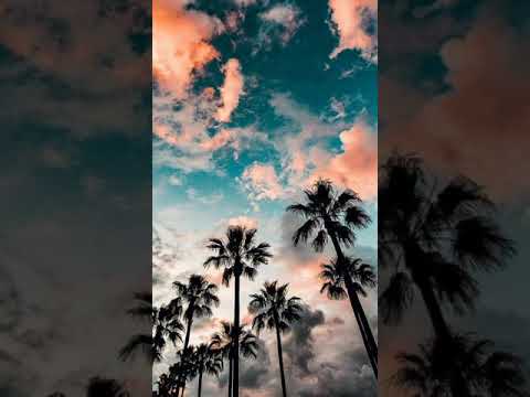 Rawannata(රවන්නට)  Official Lyrics Video