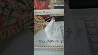 Download lagu S266*引き継ぎ～(寅→卯 Handover Tiger→Rabbit) mp3