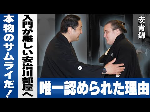 優勝を決めた直後の安治川親方の言葉に全相撲ファンが涙腺崩壊...愛弟子を抱きしめた瞬間...外国出身力士を受け入れない方針を覆した安青錦の「真っすぐな目」に言葉を失う…!