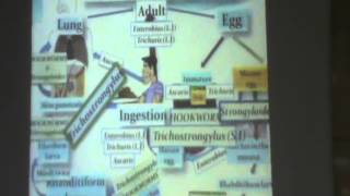 12) Dr. Mousa 19-11-15 [Intestinal Nematodes Revision]