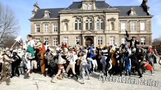 preview picture of video 'Harlem Shake du Lycée Adrien ZELLER ( Carnaval )'