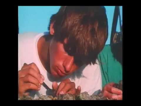 Western Lights- Part 07 The Island Of Pearls