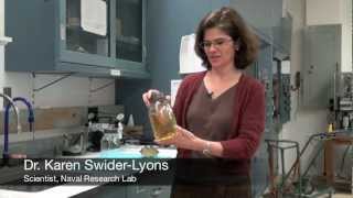 Hydrogen Fuel Cells