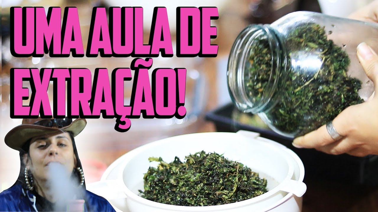 COMO FAZER ÓLEO DE MACONHA COM ÁLCOOL DE CEREAIS  - HASH OIL